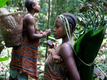 ¿Por qué las tribus del Congo no tienen refrigerador?