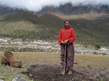 Las protestas agrícolas en India están escribiendo el obituario de la Revolución Verde