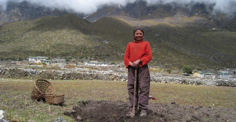 Las protestas agrícolas en India están escribiendo el obituario de la Revolución Verde