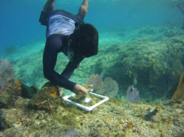 Cozumel instala dispositivos de medición continua en el arrecife de Chankanaab