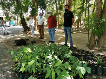 Quintana Roo inicia la campaña Sembrando Conciencias 2021