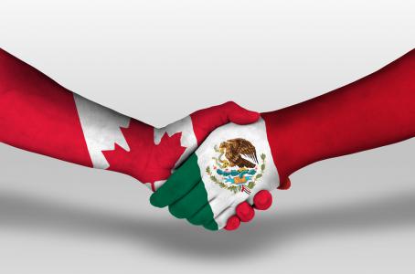 Programa de Trabajadores Agrícolas Temporales (PTAT) México – Canadá se posiciona como modelo de cooperación laboral exitoso