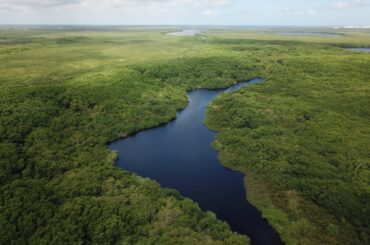 Conservación de propiedad ejidal: necesaria para proteger recursos naturales