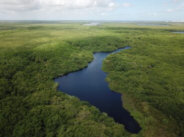 Conservación de propiedad ejidal: necesaria para proteger recursos naturales