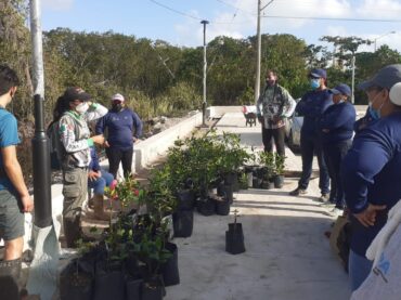 Reforestación en Laguna Manatí