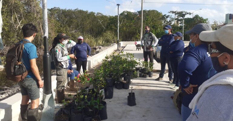 Reforestación en Laguna Manatí