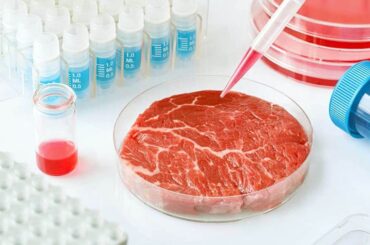 La carne cultivada en laboratorio imita las fibras musculares como las que se encuentran en el bistec