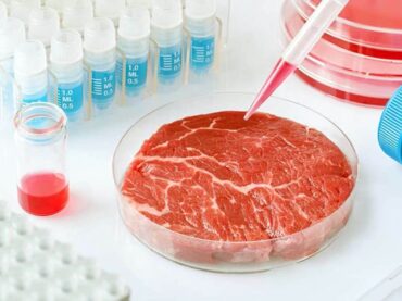 La carne cultivada en laboratorio imita las fibras musculares como las que se encuentran en el bistec