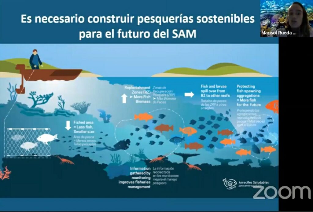 Educación ambiental para proteger el Arrecife Mesoamericano