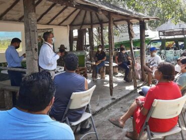Conforman en Puerto Morelos el comité de vigilancia ambiental participativa “Guardianes de la selva”